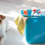 a dog sitting on the floor and a bucket of cleaning products