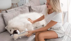 Woman in white top playing with her pet dog on sofa.