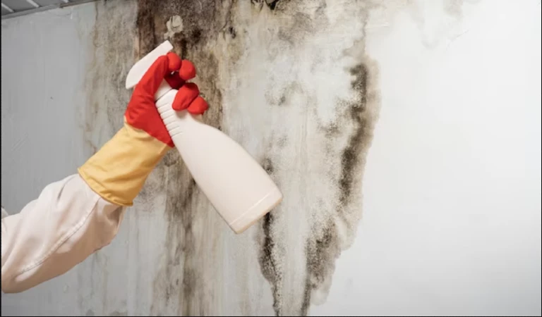 Hand of a lady holding a spray bottle in her hand in front of household mould.