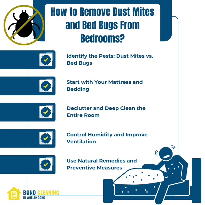 Tips To Get Rid Of Dust Mites And Bed Bugs In Your Home