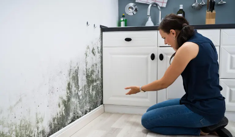Woman looking at mold wall damage